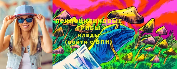 шишки Волосово