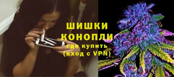 шишки Волосово