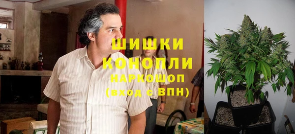 мдпв Вязники
