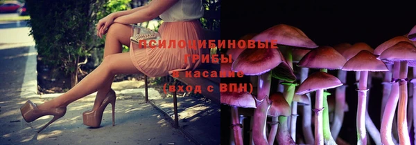 первитин Вяземский