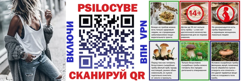 Купить где  Тосно  Галлюциногенные грибы мицелий 
